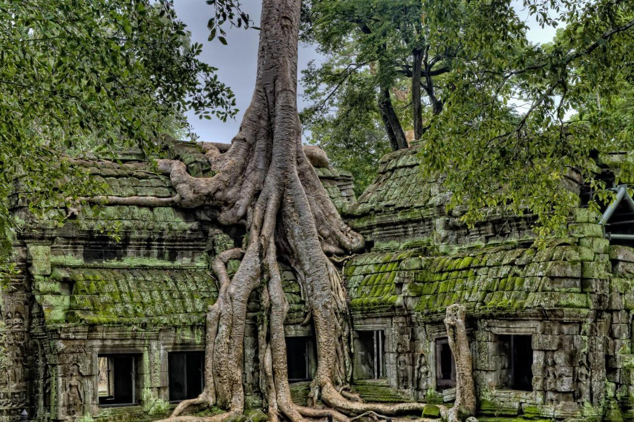 Golden Temple Residence Siem Reap Exterior foto Banteay Srei